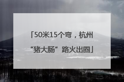 50米15个弯，杭州“猪大肠”路火出圈