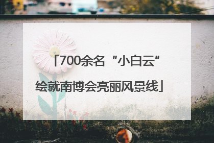 700余名“小白云”绘就南博会亮丽风景线