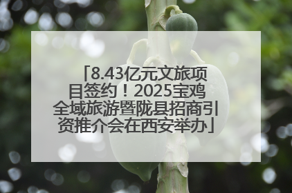 8.43亿元文旅项目签约！2025宝鸡全域旅游暨陇县招商引资推介会在西安举办
