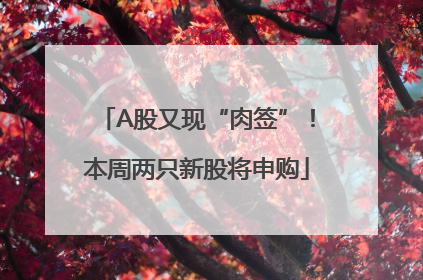 A股又现“肉签”！本周两只新股将申购